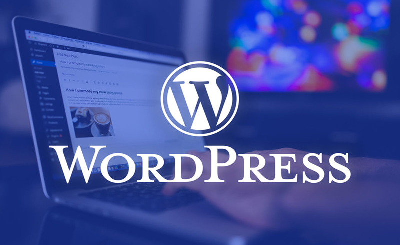 Building an e-commerce website with WordPress (Pros and cons)